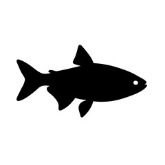 Fototapeta premium Neon Tetra Fish Silhouette with Crisp White Highlight