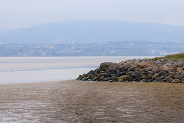 Scenic coastal landscape with wildflowers in the foreground and seabirds along the shoreline. A...