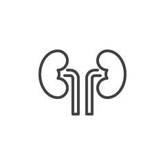 Kidneys urinary system line icon
