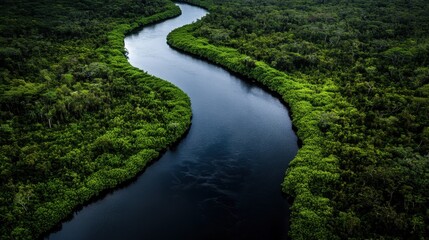 Fototapeta premium An aerial view of a winding river flowing through dense greenery, illustrating the beauty of nature, providing a serene escape and highlighting the importance of environmental conservation.