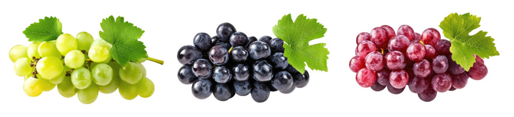 Three bunches of grapes with leaves