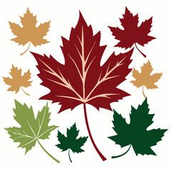 Obraz premium Collection of Colorful Autumn Maple Leaves