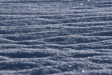 Beautiful Winter Snow Landscape with Sparkling Snowflakes and Te