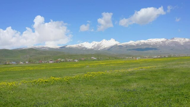 Aerial footage mountain landscape.  Drone fly over green field with yellow flowers. View on  Mount Aragats mountain, Armenia, West Asia. 