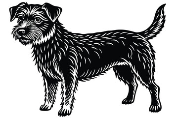 Isolated monochrome showcases a full shot of a terrier dog standing attentively