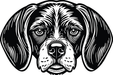 Intricate showcases an expressive beagle's portrait in detailed, contrasted black and white