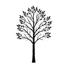 Obraz premium tree with roots