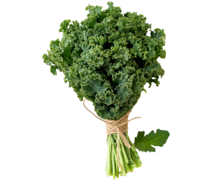 Fresh bunch of green kale isolated on transparent background