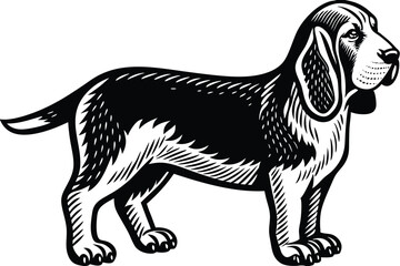 Stylized black silhouette reveals canine standing tall, showcasing unique detailed fur on a white backdrop
