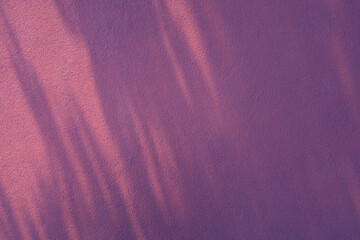 background of purple wall in sunlight
