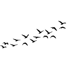 Flock of Birds Silhouette in the Sky | Black Bird Group Vector Illustration