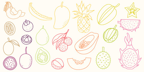Hand drawn tropical fruits doodles. Exotic summer fruit doodle with mango, papaya, dragon fruit, pineapple. Flat vector fruity design for tropical packaging, healthy food label, kitchen decor.