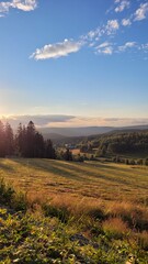 Obraz premium Warm sunset light over a peaceful hillside meadow in the Polish mountains. In the distance: forest and small countryside houses. Calm rural landscape with blue sky and golden tones.