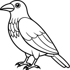 Fine Line Weaver Bird Graphic Art