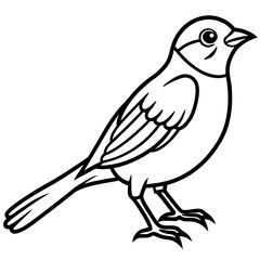 Fine Line Weaver Bird Graphic Art