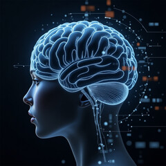 3d rendered illustration of human brain