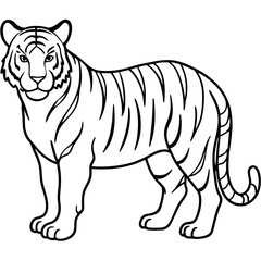 Obraz premium Full Body White Tiger Clean Vector Line Sketch