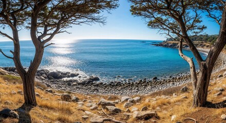 Turquoise Mediterranean Cove Framed by Ancient Cypress Trees and Rocky Coastline
