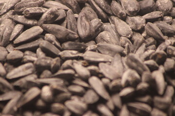 A close up of sunflower seeds