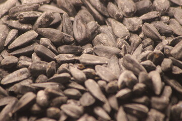 A close up of sunflower seeds