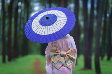 Traditional Japanese Woman in Furisode Kimono with blue wagasa umbrella in Pine Forest. Cultural...