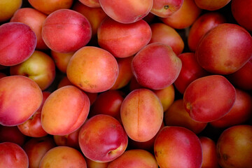 Close-up of ripe apricots with a reddish-orange hue, tightly packed in a market setting.