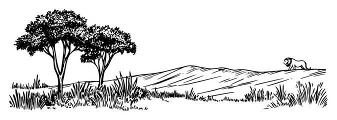 african savanna landscape with lion – black and white outline vector © Kaz