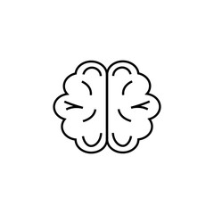 brain