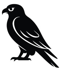 Black and white birds of prey vector illustration, Hawk silhouette vector art isolated on transparent background, Andean condor illustration