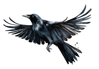 Black Raven, watercolor Halloween Crow illustration
