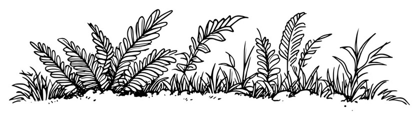 exotic tropical foliage and grass border hand drawn