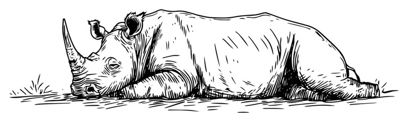 rhinoceros lying down hand drawn vector sketch