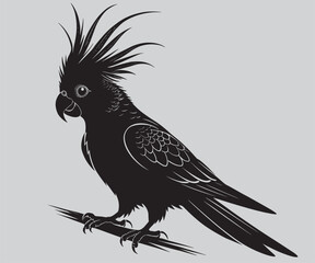 Detailed cockatoo parrot vector illustration, black and white design