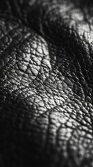 Close-Up of Black Leather Texture Showcasing Fine Detail and Natural Grain Aesthetic