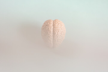 モヤがかかった脳の模型、 ブレインフォグ 意識混濁のイメージ