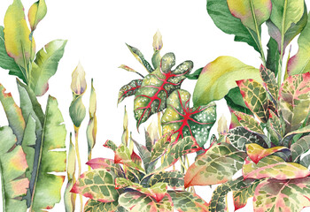 Tropical leaves, banana, croton and caladium. Watercolor green foliage, hand painted illustration. © JeannaDraw