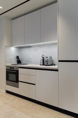 Modern Minimalist Kitchen with Built-in Appliances and Light Cabinets, vertical