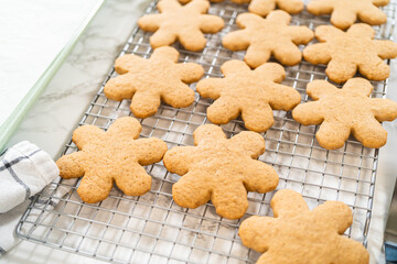 Step by step preparation of Amber Gingerbread Cookies from dough to delicious holiday treats
