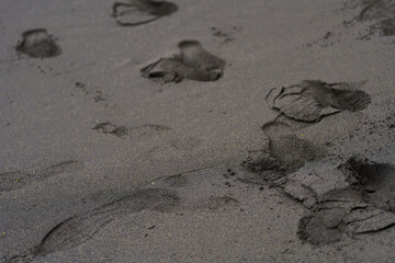 Footprints on black volcanic sand