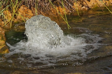 A small water jet gently rises from the center of a garden pond, surrounded by greenery and bathed in natural light. France.
