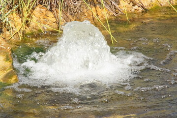 A small water jet gently rises from the center of a garden pond, surrounded by greenery and bathed in natural light. France.