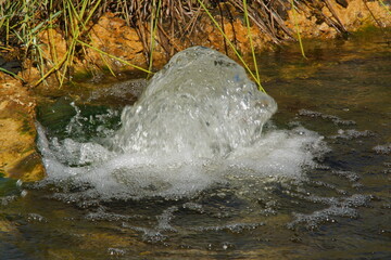 A small water jet gently rises from the center of a garden pond, surrounded by greenery and bathed in natural light. France.