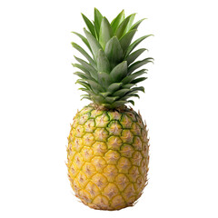 Fototapeta premium Studio shot of a fresh, ripe pineapple. One whole pineapple, showcasing the textured golden skin and the vibrant yellow, succulent interior. 