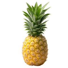 Fototapeta premium Studio shot of a fresh, ripe pineapple. One whole pineapple, showcasing the textured golden skin and the vibrant yellow, succulent interior. 