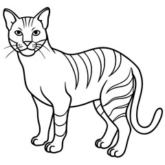 Line Art Sand Cat Illustration