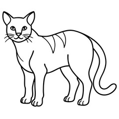 Line Art Sand Cat Illustration