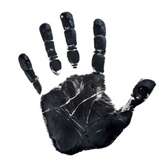 Black Handprint A Detailed Impression isolated on transparent baackground