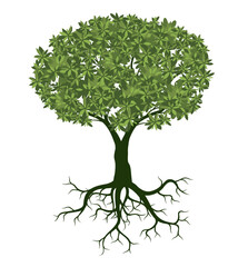 Shape of green Tree with Leaves and Roots. Vector outline Illustration.
