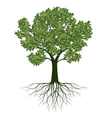 Shape of green Tree with Leaves. Vector outline Illustration.
