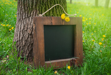 Rustic wooden empty chalkboard leans on tree in green grass and dandelion flowers